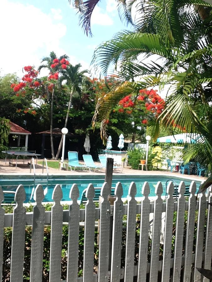 Island 3*